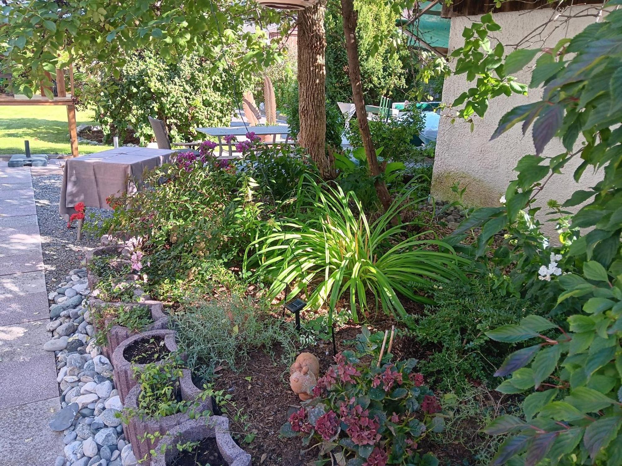 Gasthof Falkeis Kauns